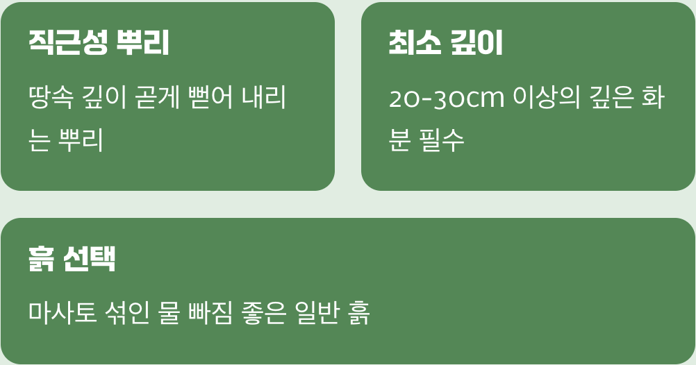 성공의 90%, 깊고 또 깊은 화분