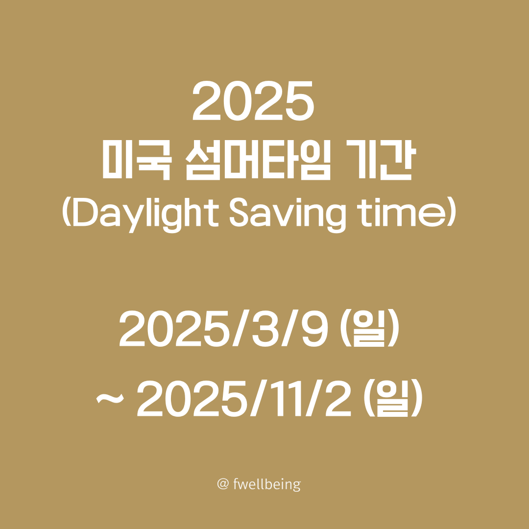 미국서머타임