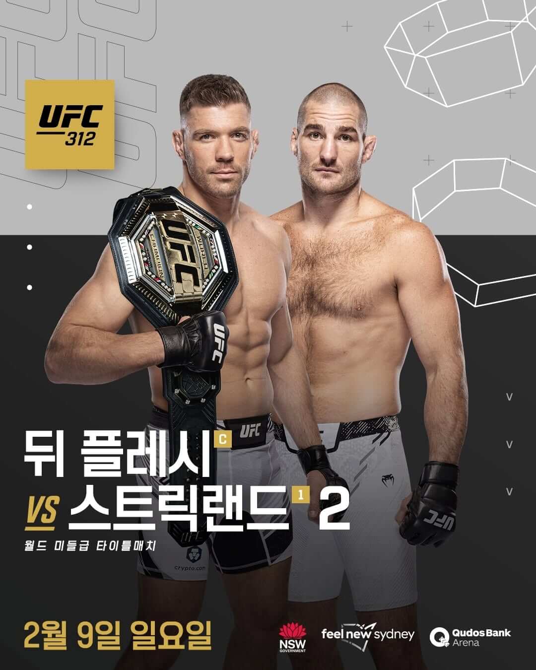 UFC 312 - 두 플레시스 vs 스트릭랜드