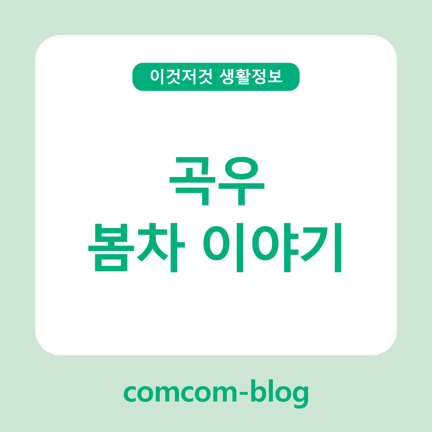 곡우의 향기, 한 잔에 담다