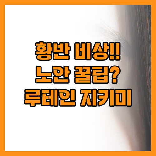 황반 보호막! 루테인 지아잔틴으로 노..