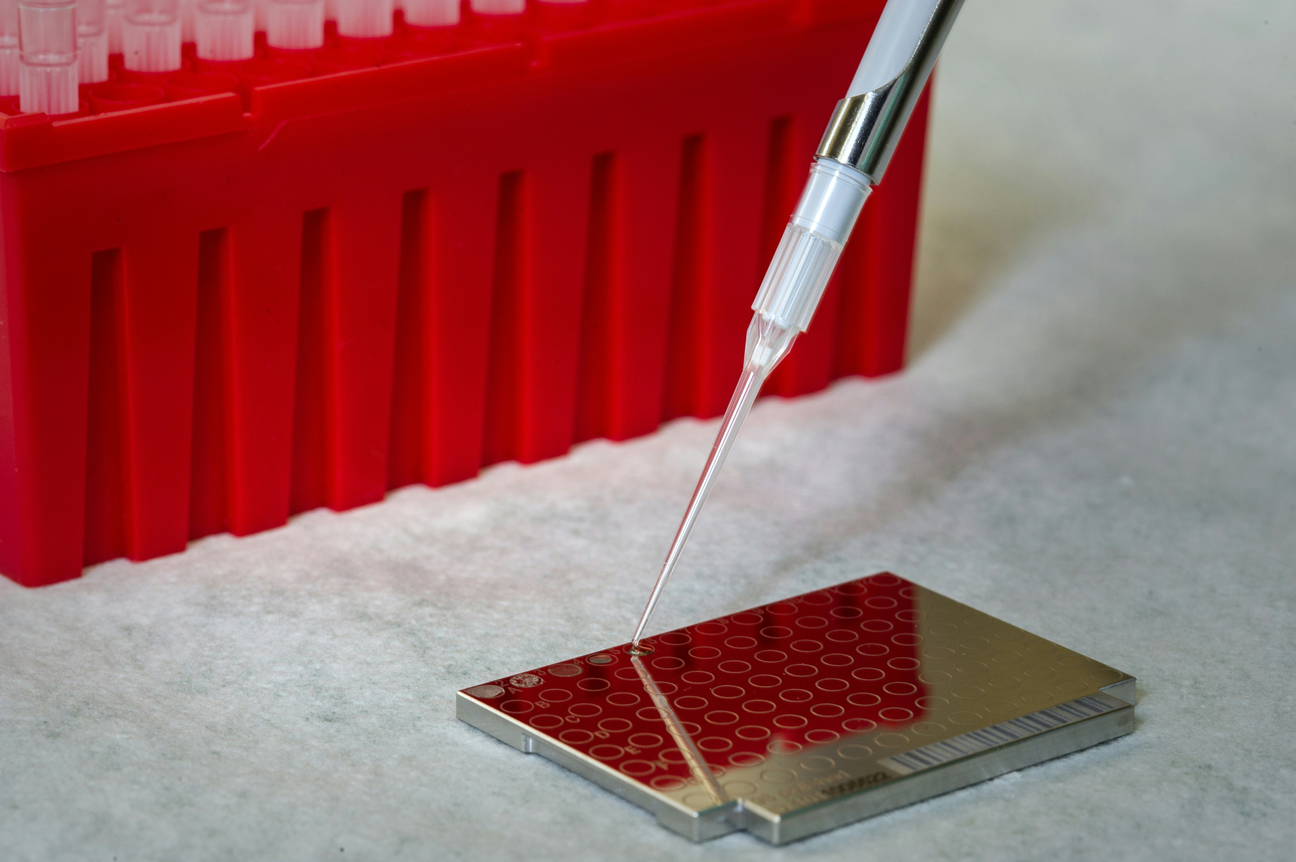 신경섬유종 초기 증상 및 밀크반점 (+ 유전 치료약 검사)