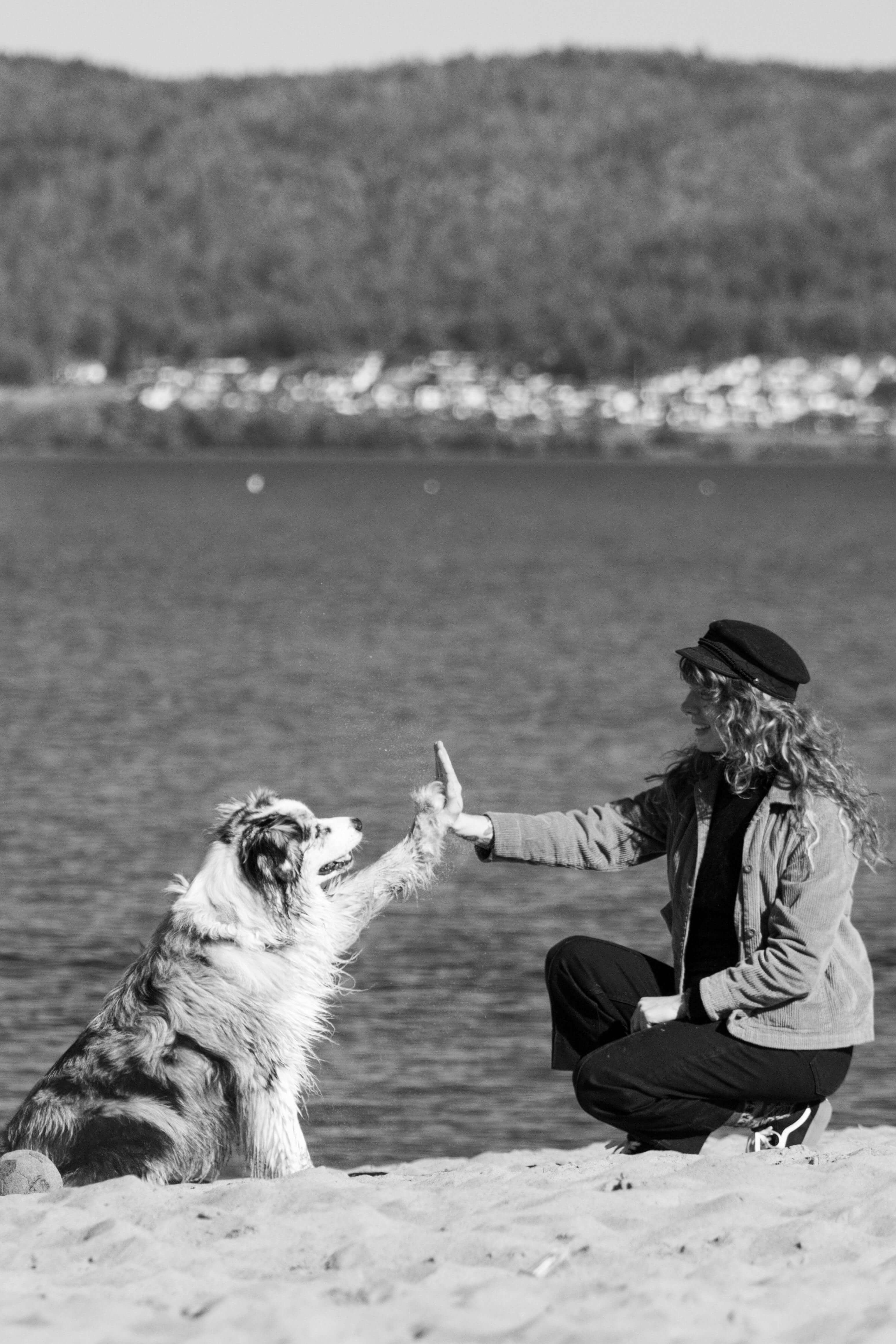 펫산업 투자 전망 2025~2026 │ ETF&middot;주식형 상품 완전 분석