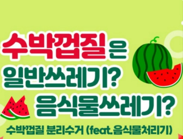 수박껍질-분리수거-썸네일