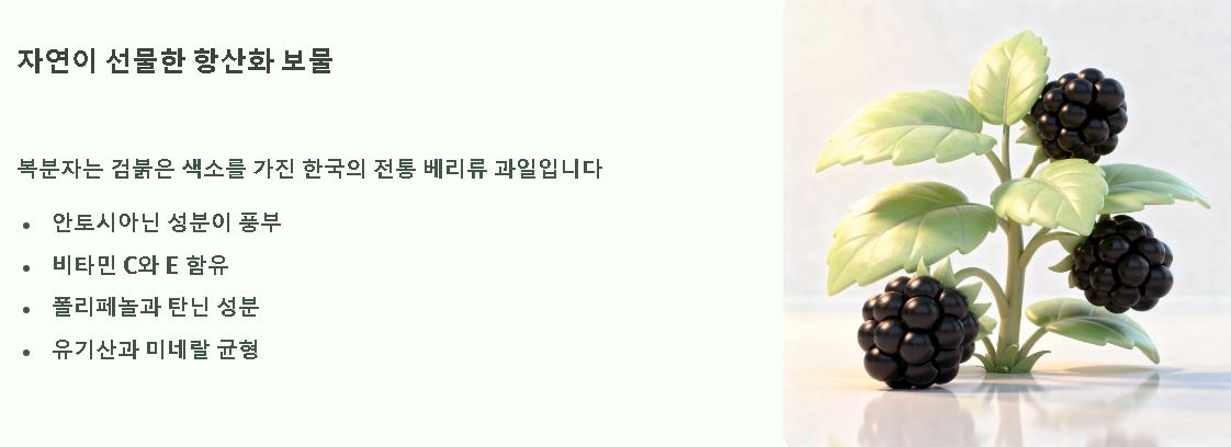 복분자 효능 부작용