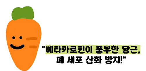 폐에 좋은 음식 10