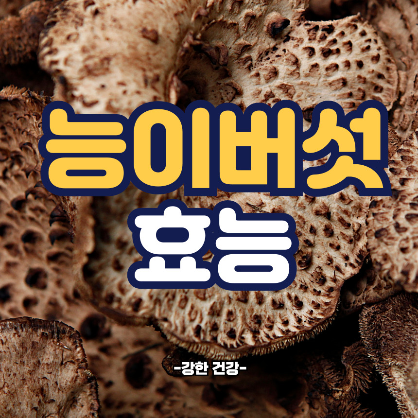 능이버섯 효능