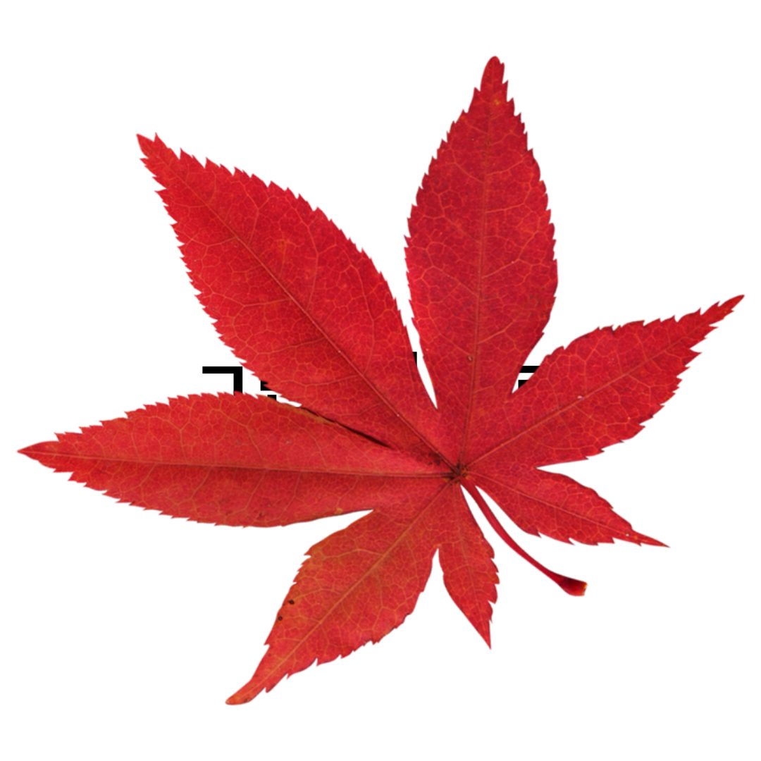 여주와 관련된 사진입니다.