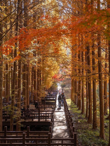나 혼자 산다-청남대-가을축제