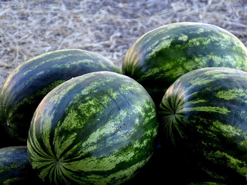 수박 섭취시 부작용