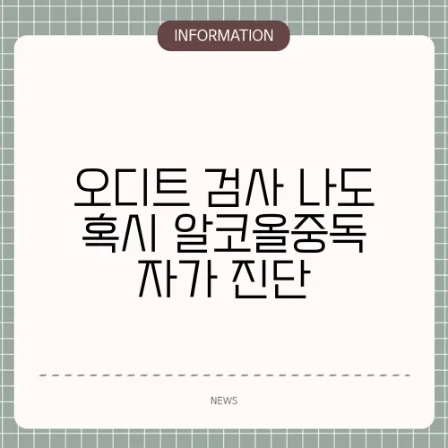 오디트 검사 나도 혹시 알코올중독 자가 진단