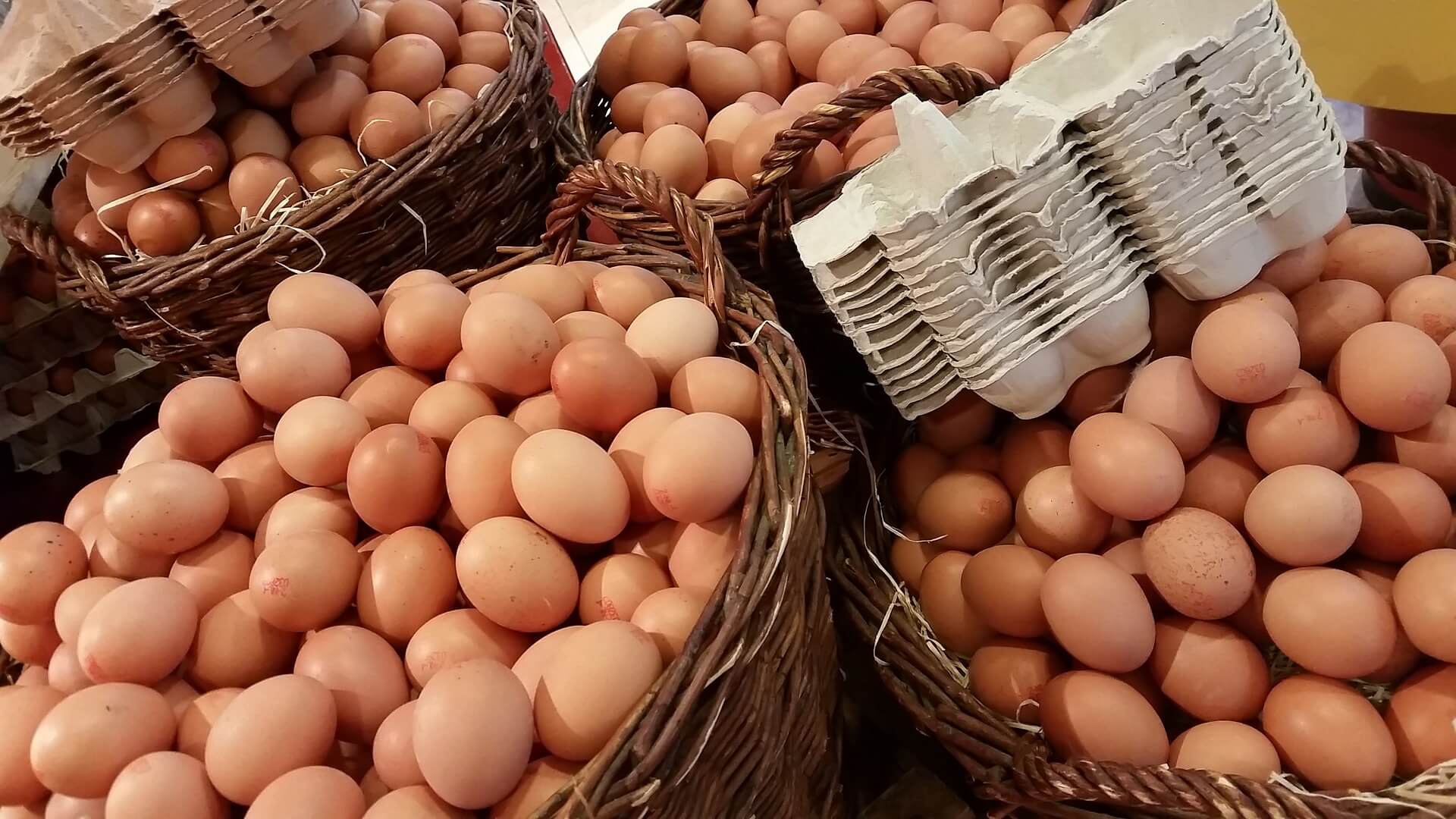 우울증에 좋은 달걀