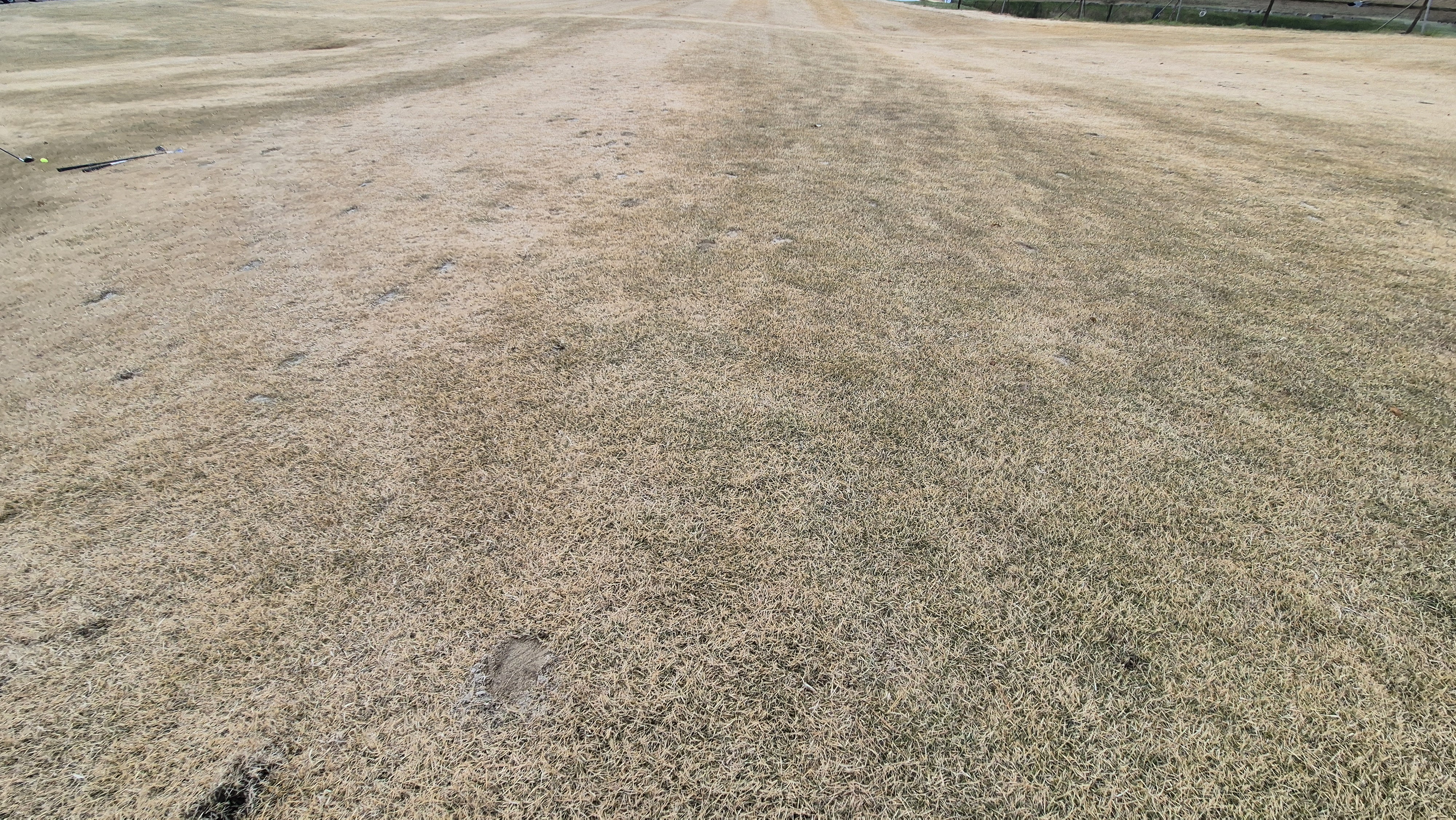 힐데스하임 레이크-힐 코스 코스 관리 상태