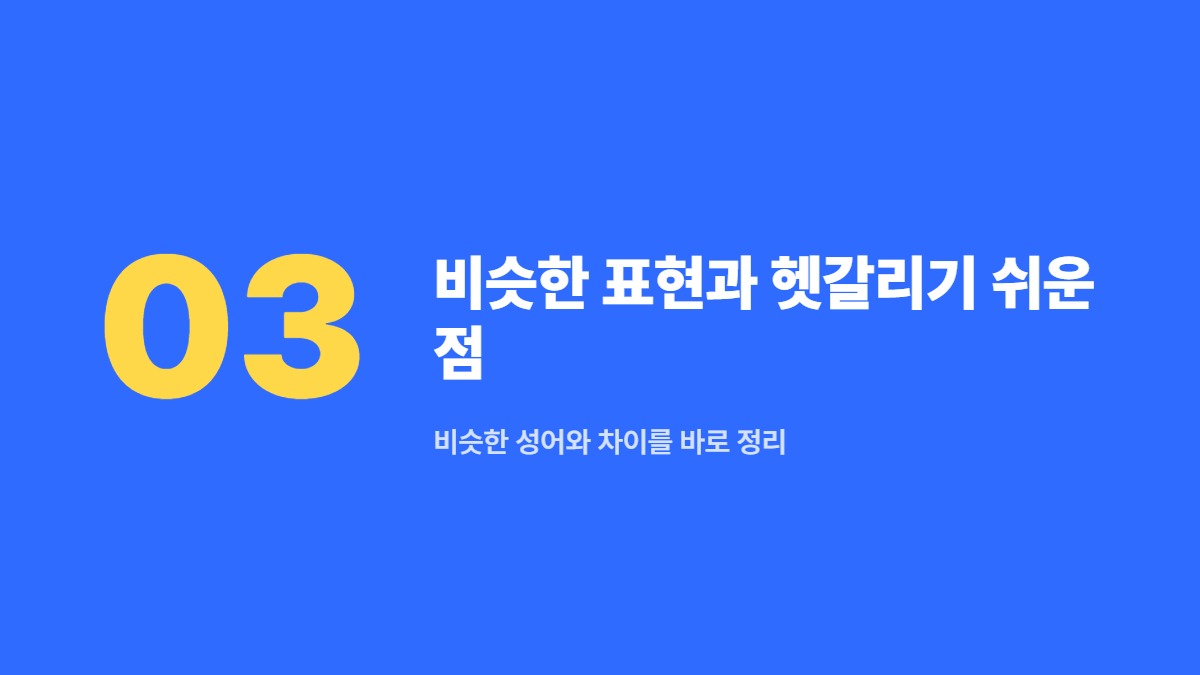 비슷한 표현과 헷갈리기 쉬운 점 — 비슷한 성어와 차이를 바로 정리