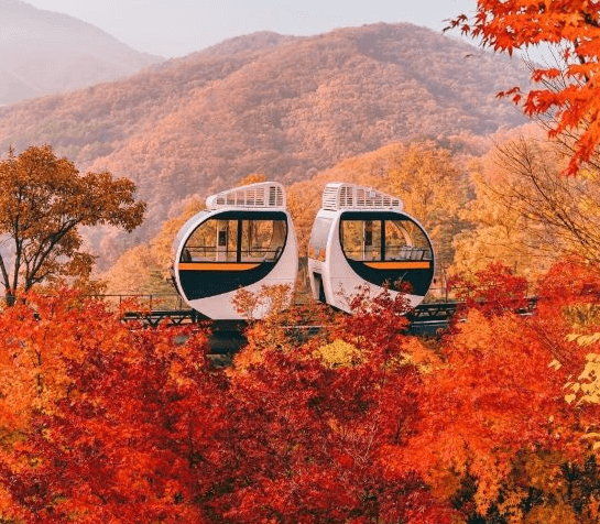 화담숲