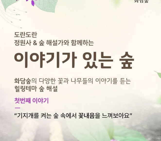 2025 화담숲 벚꽃 예매하기 관련사진