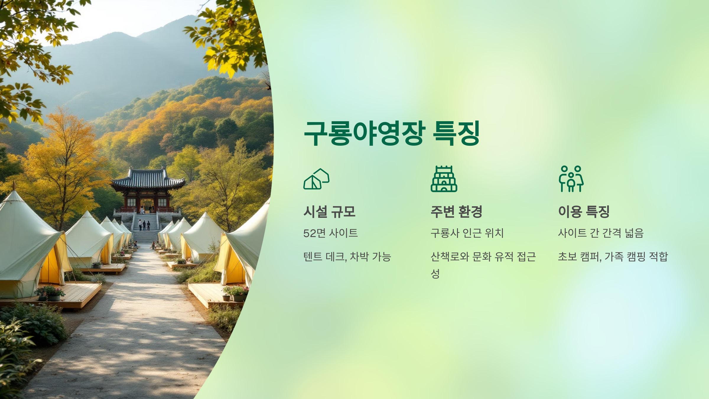 🌲치악산 금대야영장 &amp; 구룡야영장: 자연 속 힐링 캠핑 명소 완전 정복!