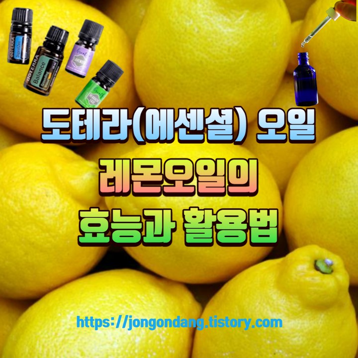 도테라(에센셜) 오일, 레몬 오일 효능, 레몬 오일 활용법 이미지
