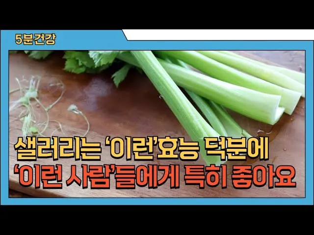 샐러리 효능 알고 먹는법 잎 생으로 손질법 요리_2