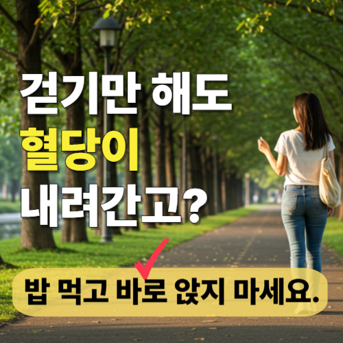 혈당 조절 걷기 전략 식후 운동 루틴