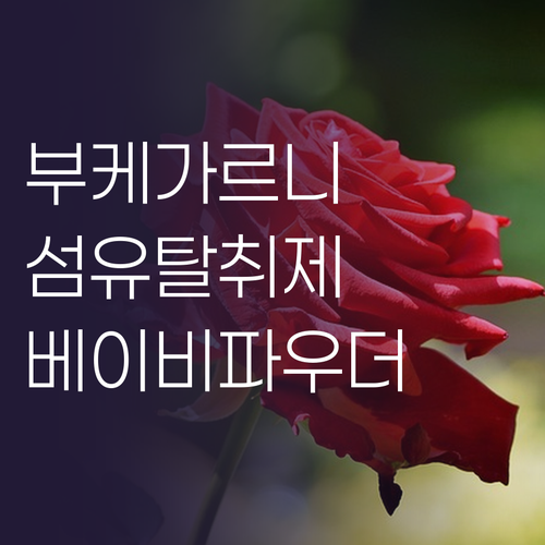 포근함 가득 부케가르니 섬유탈취제 베..
