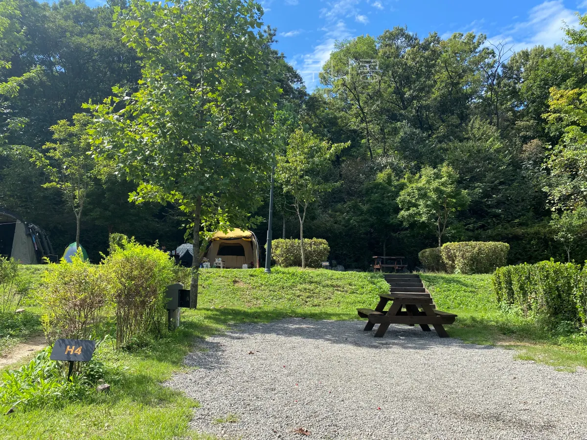 서울근교-당일캠핑-피크닉-가능한-초안산캠핑장-사이트-총정리(주차,통로위치-등)