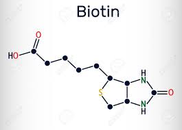 비오틴 섭취시 주의 사항
