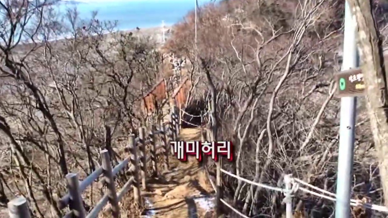 개미허리 다리 방향으로 이어지는 내리막과 바다