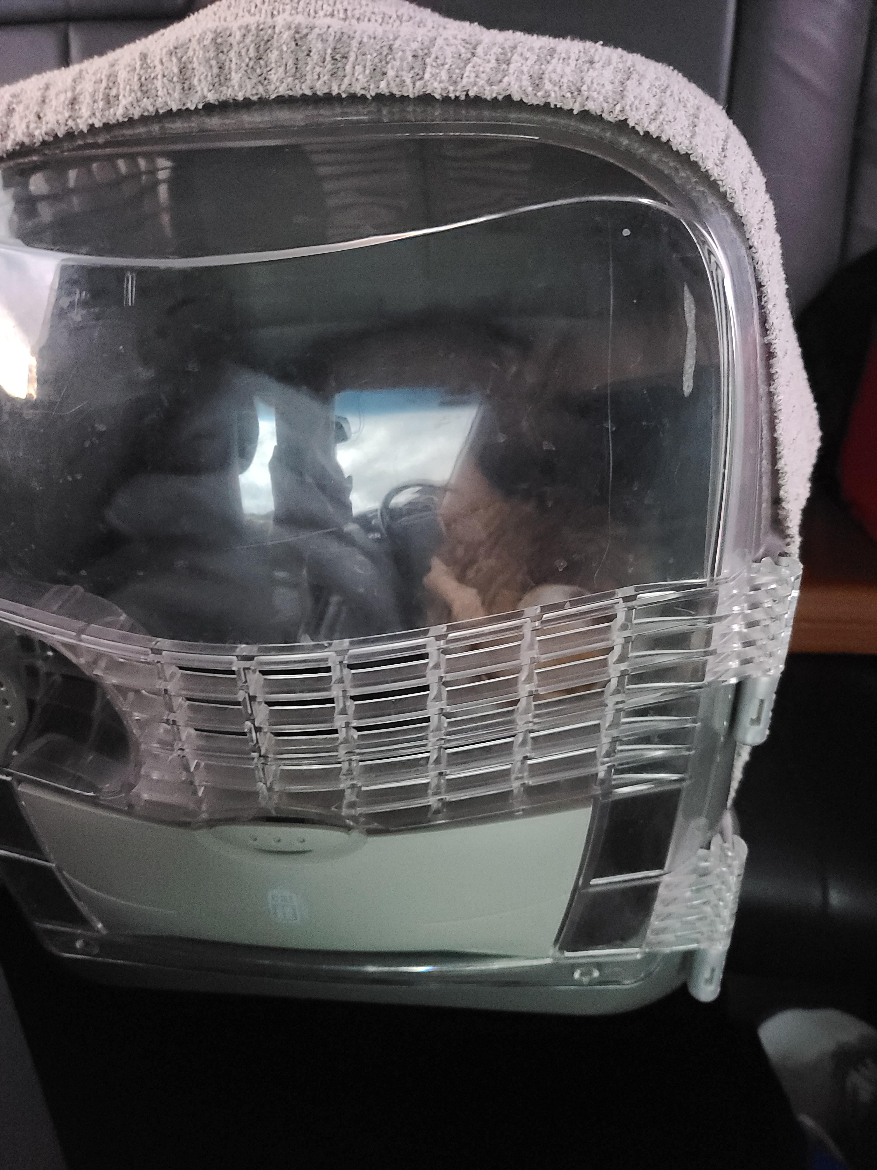 우리아이들의 이동장. 내가 써보니 안전하지 않은 이동장. 고양이들에게 꼭 필요한 안전한 이동장.