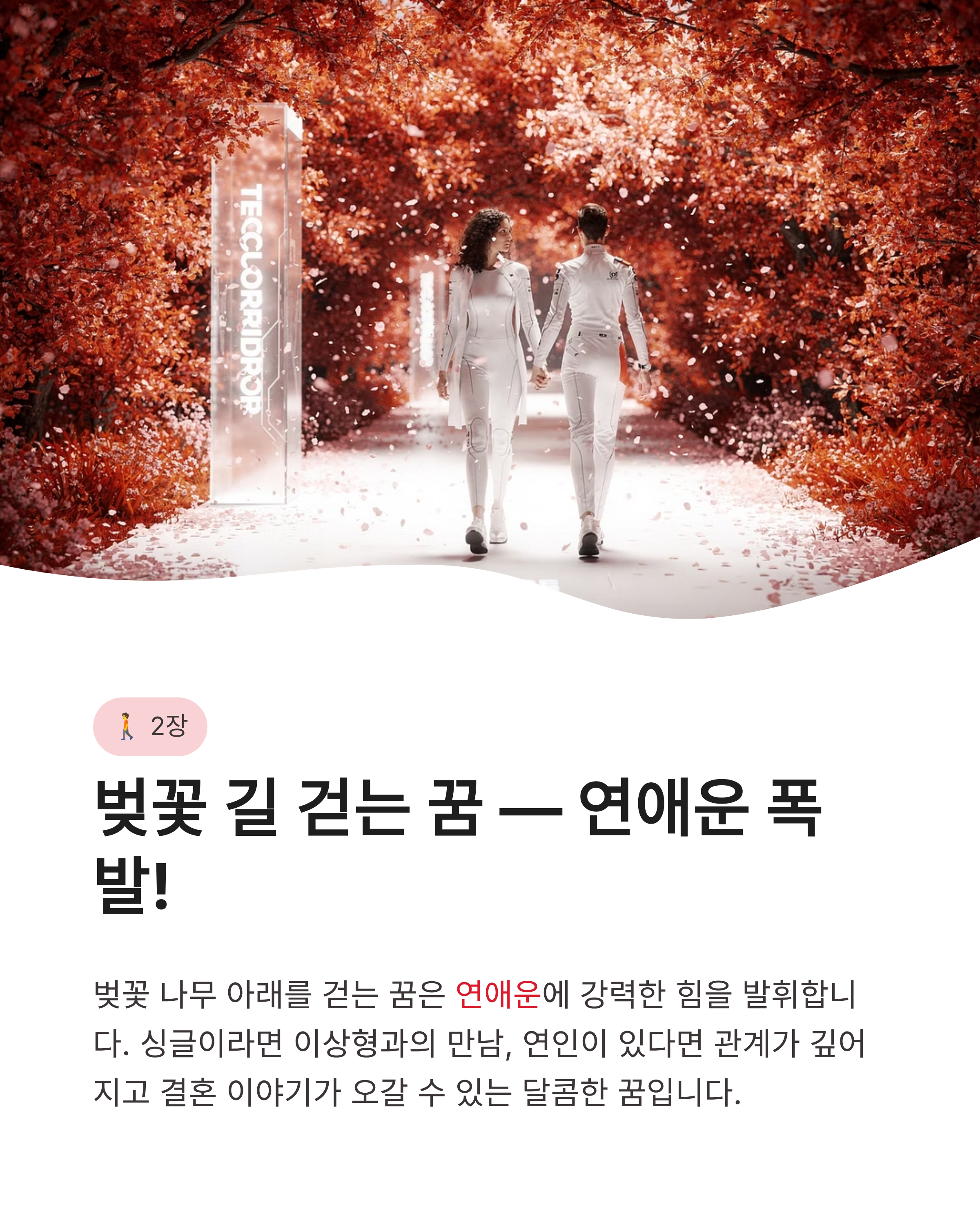 벚꽃꿈 해몽 벚꽃 구경하고 지는 꿈까지 기분 좋은 연애운과 반전 복의 신호?