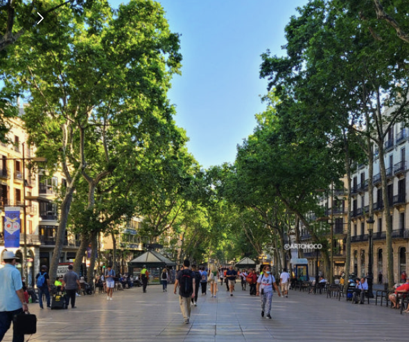 스페인 소매치기 주의 지역