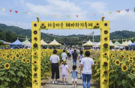 하솔마을 해바라기축제
