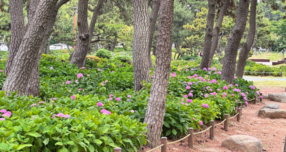 부산송림공원