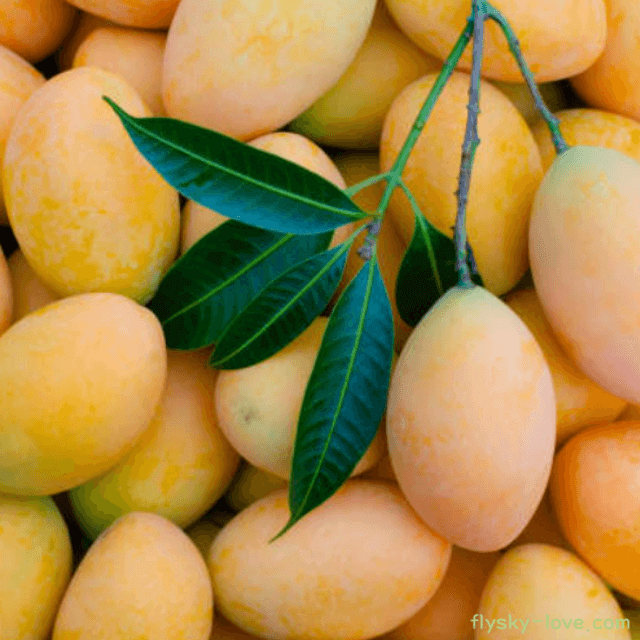 황금색의 열대과일 마프랑