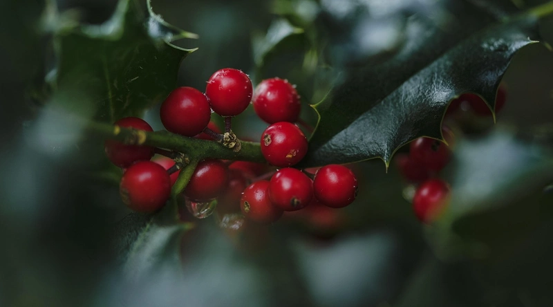 공장 증축 인허가 절차와 시공업체