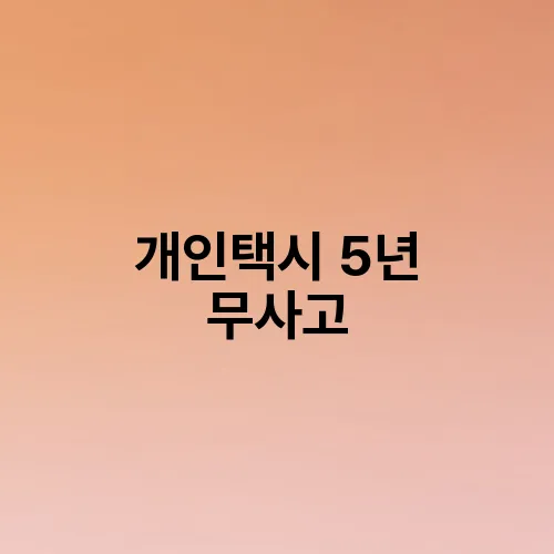 개인택시 5년 무사고