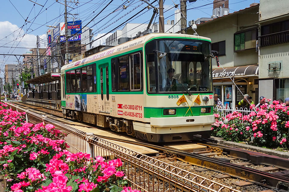 도쿄에서 색다른 교통수단을 타보