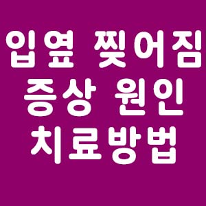 입옆 찢어짐 이미지 입니다.
