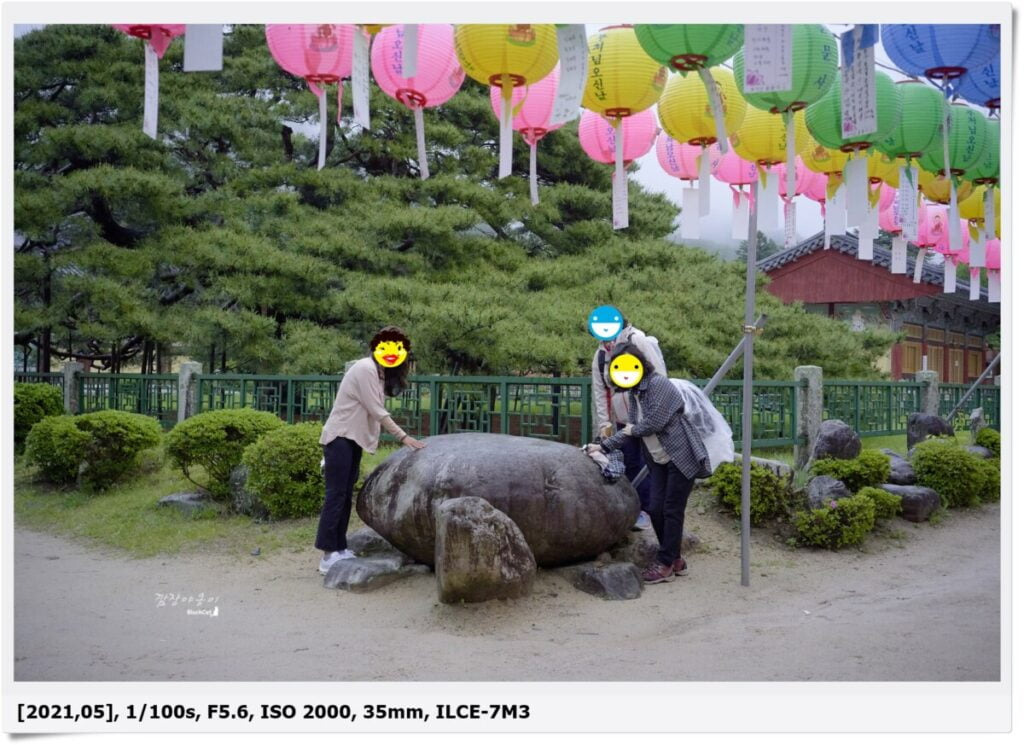 청도 운문사 경내에서 만난 거북이 모양 석상