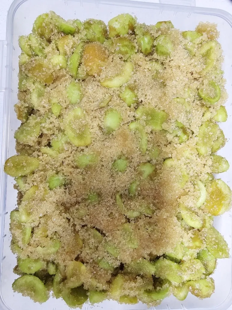 매실 씨 제거 후 매실청 매실장아찌 담그는 실전 방법_5