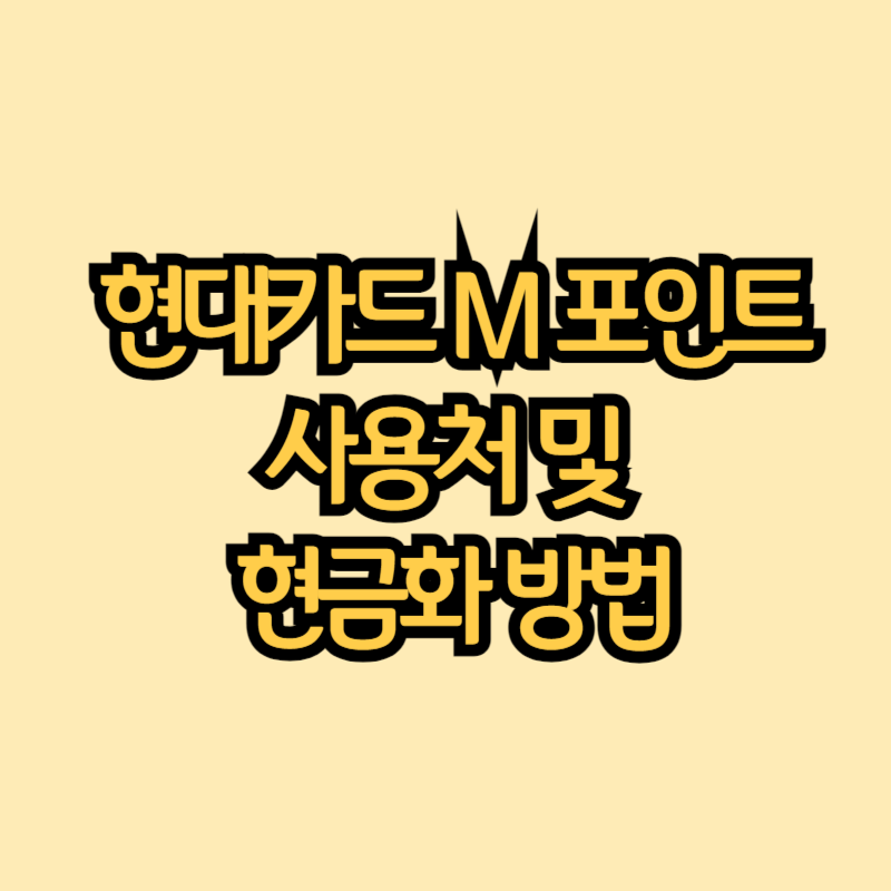 현대카드 M 포인트