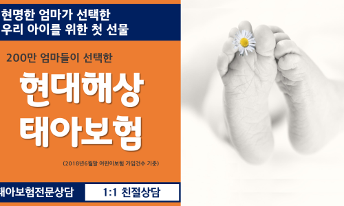 현대해상태아보험