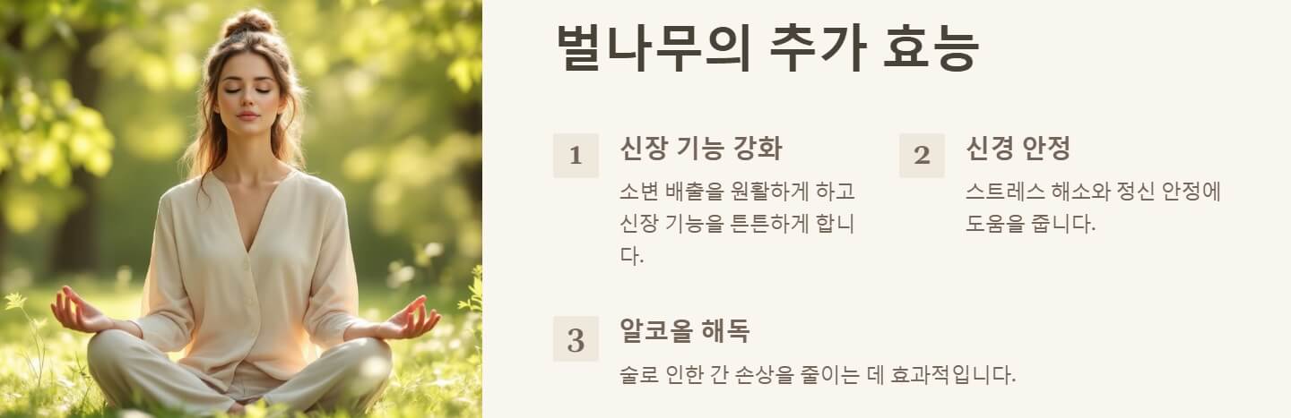 벌나무 효능 끓여먹는 방법