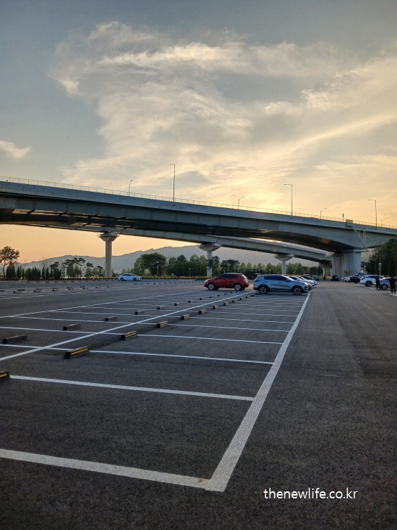 구리 한강시민공원 코스모스 축제 고덕토평대교 신설 주차장 전경