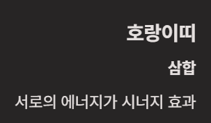 2026년은 무슨 해? 말띠의 해