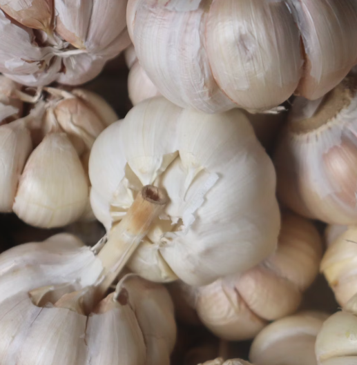 마늘 효능 효과 부작용 당뇨 혈관 건강