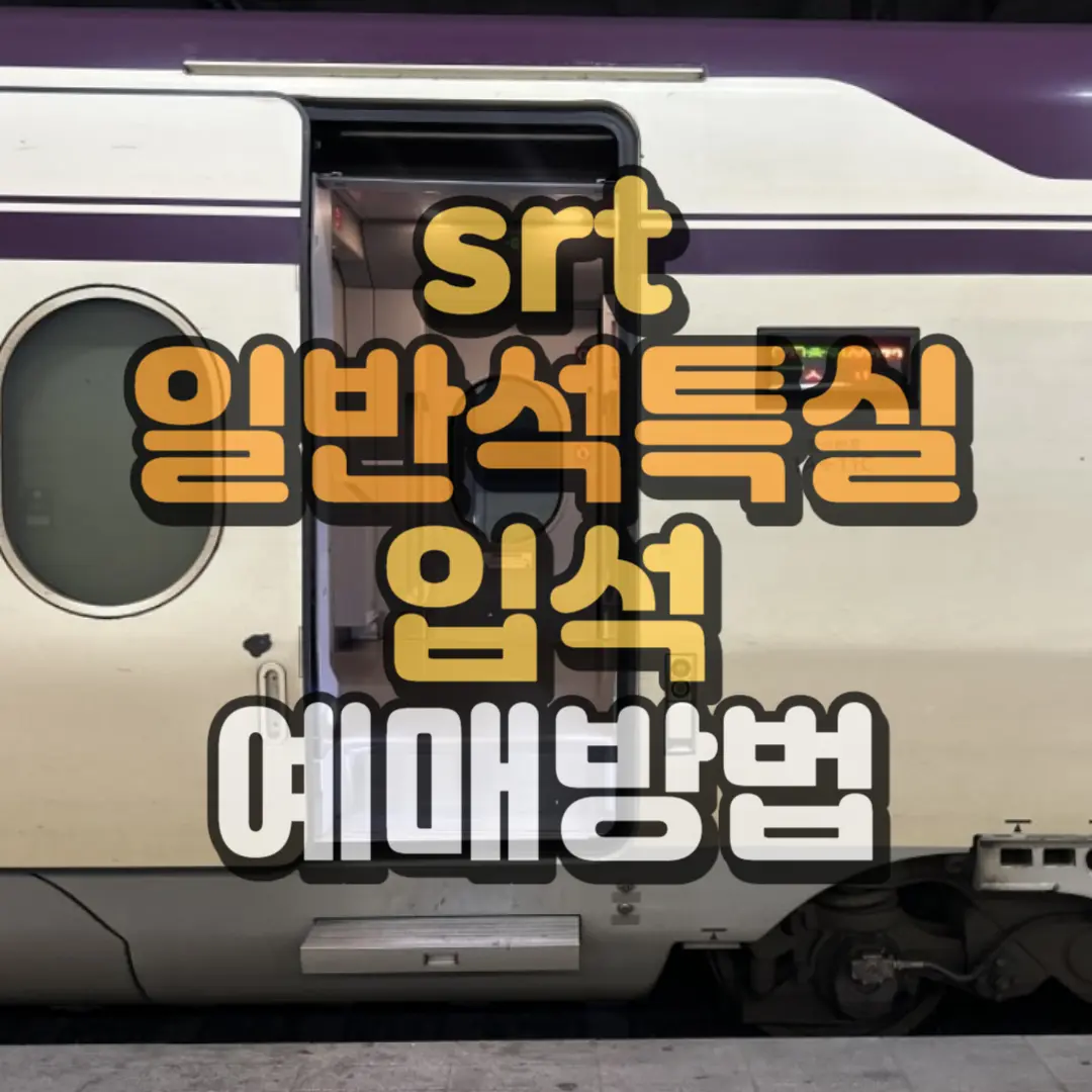 srt일반석 특실 입석 예매 방법