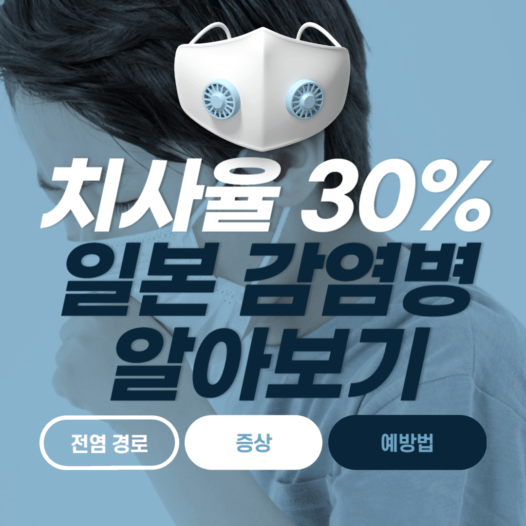 일본 감염병 연쇄구균 독성 쇼크 증후군 치사율 증상 예방법