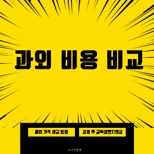 과외비용