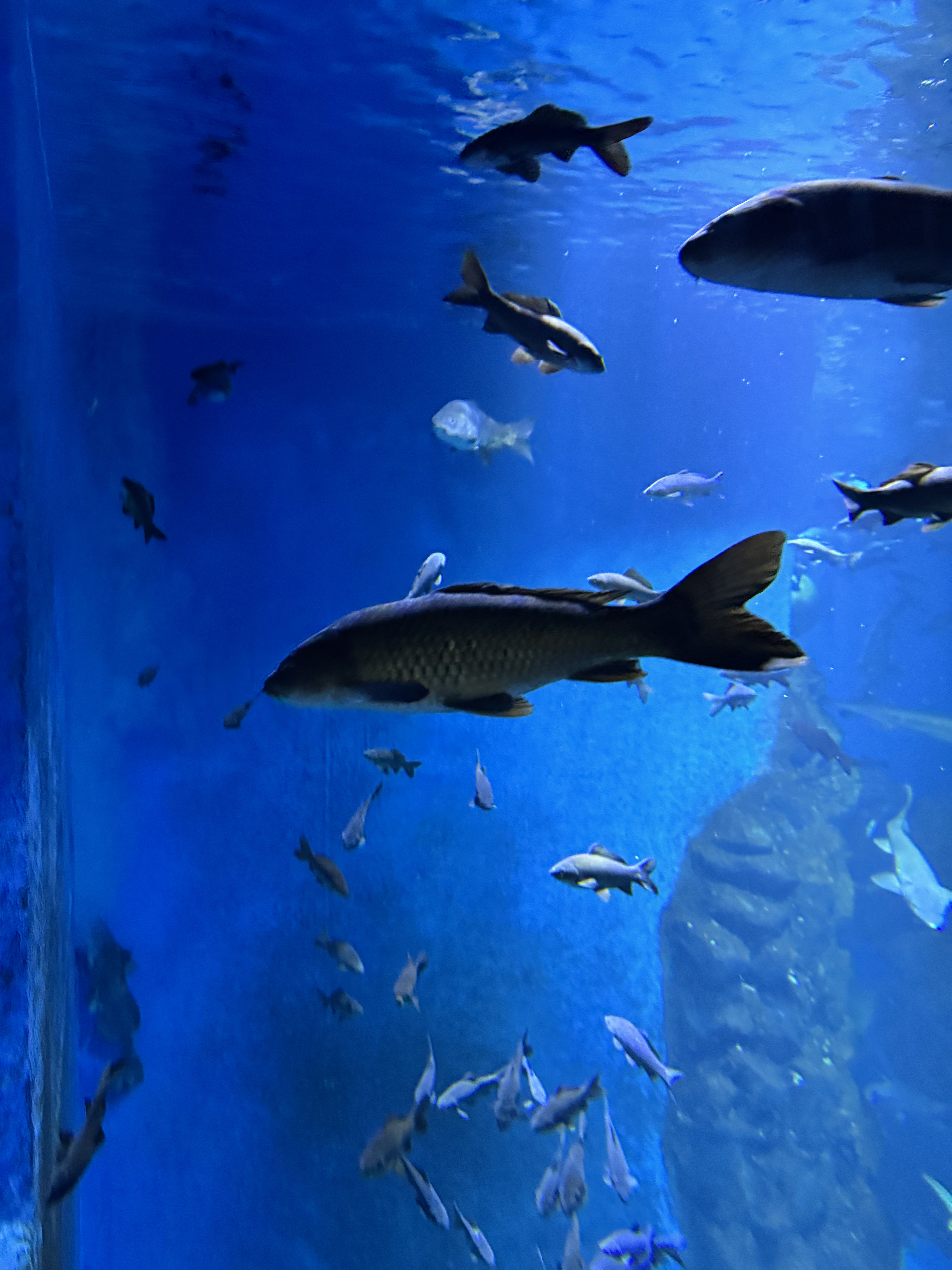 충북 단양 여행